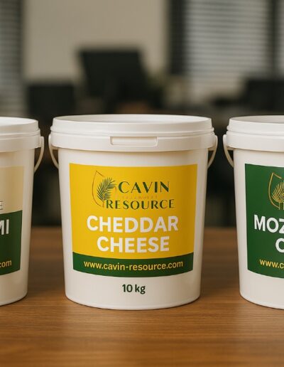 Halloumi-Cheese-Cheddar-Cheese-Mozzarella-Cheese-Cavin-Resource-Malaysia-400x516 (2).jpg